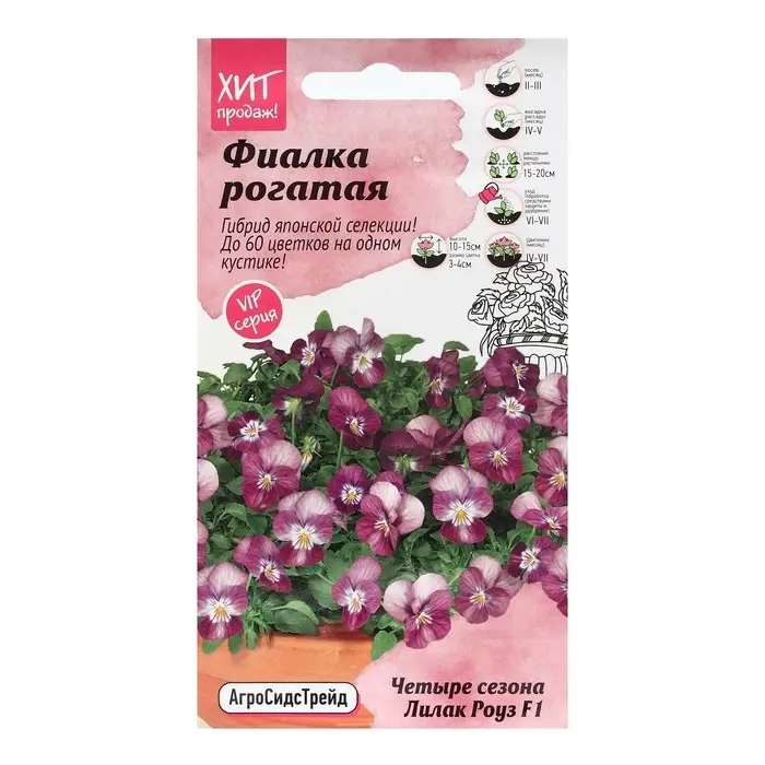 Семена Цветов Фиалка Семена Цветов Фиалка "Лилак Роуз", 5 шт