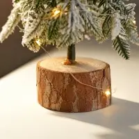 Фигура светодиодная &laquo;Заснеженная ель&raquo; 30.5 см, 20 LED, от батареек AG13&times;3, свечение тёплое белое
