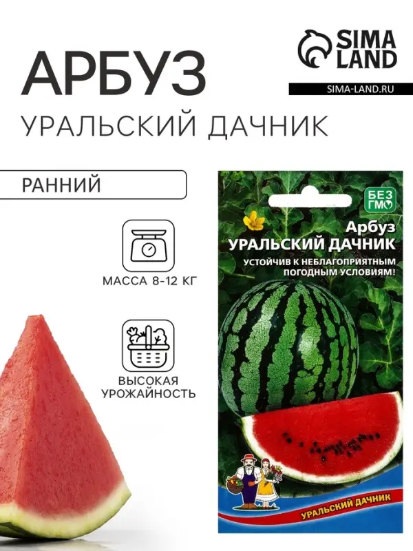 Семена Арбуз Уральский дачник (УД) Е/П , Е/П,  10 шт.