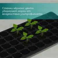 Кассета для рассады, 50 ячеек по 75 мл, пластик, чёрная, 56×29.5×4 см, Greengo