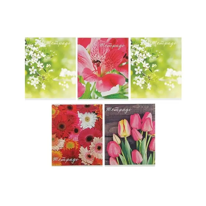 Тетрадь 48 листов в клетку Calligrata «Цветы», обложка мелованная бумага, блок №2, белизна 75% (серые листы), МИКС