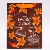 Набор ламинированных вертикальных пакетов &laquo;Классному учителю&raquo;, 3 шт, MS 18 &times; 23 &times; 10 см