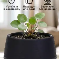 Горшок цветочный &laquo;Япония&raquo;, 125 мл, d=8 см, h=6.5 см, пластиковый, с поддоном, графитовый