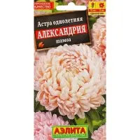 Семена Цветов Астра «Александрия шамоа», 0.1 г