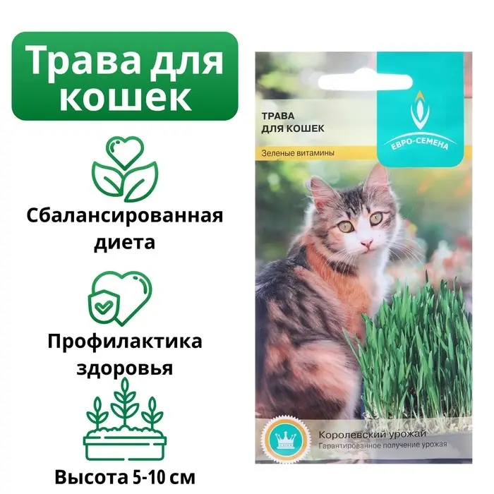 Семена Трава для кошек, 10 г, &laquo;Евро-семена&raquo;