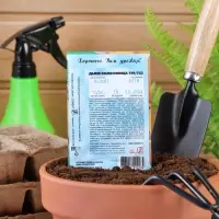 Семена Дыня "Колхозница" "Лидер", 1 г Семена Дыня "Колхозница" "Лидер", 1 г