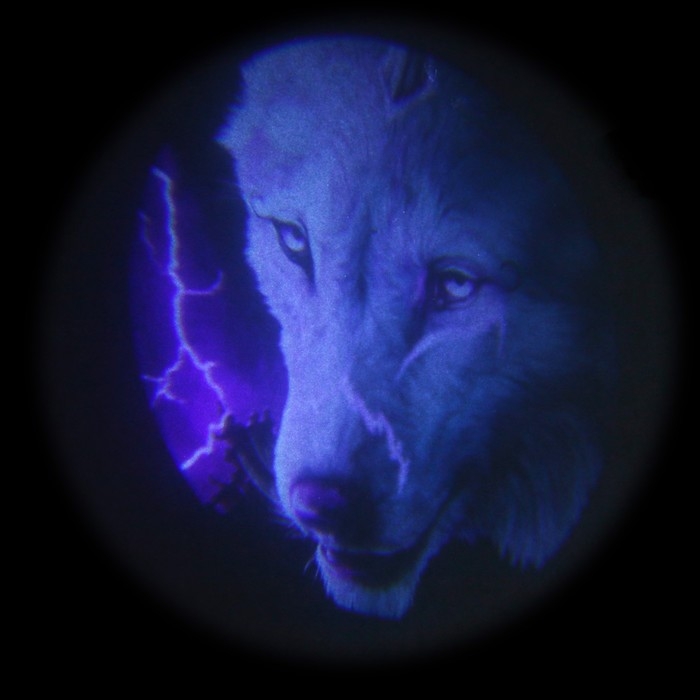 Проекция на дверь, светодиодная, Проекция на дверь, светодиодная, "Волк", набор 2 шт