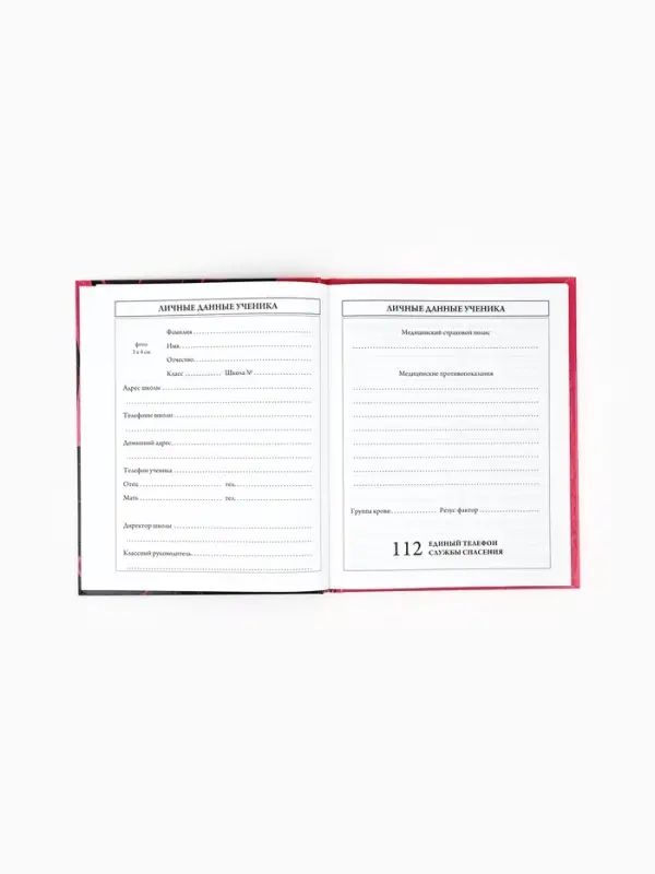 Дневник школьный 1-4 класса, в твердой обложке, 48 л &laquo;Аниме девушка&raquo;