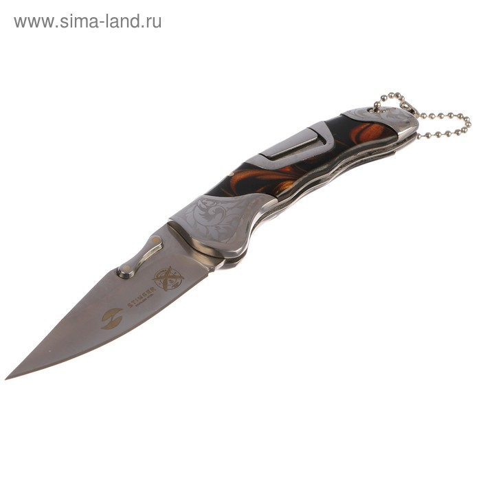 Складной нож Stinger с клипом, 165 мм, рукоять: нержавеющая сталь, дерево, подарочный бокс Складной нож Stinger с клипом, 165 мм, рукоять: нержавеющая сталь, дерево, подарочный бокс