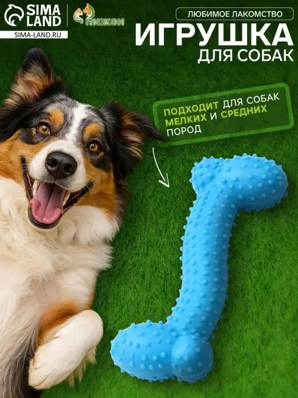 Жевательная игрушка для собак &laquo;Любимое лакомство&raquo;, 11&times;4 см, TPR, голубая