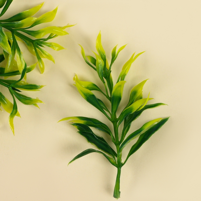 Веточка зелени, размер 1 шт. — 9 × 3 × 3 см, набор 3 шт. Веточка зелени, размер 1 шт. — 9 × 3 × 3 см, набор 3 шт.