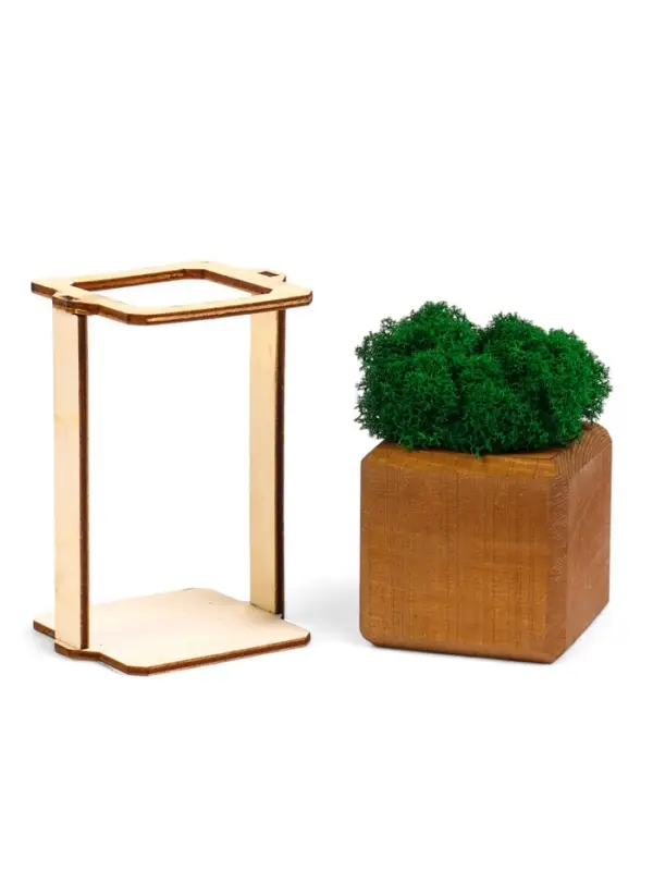 Кашпо композиция со мхом Кашпо композиция со мхом "Бриовуд", мох стабилизированный: Forest green (Зелёный лес)