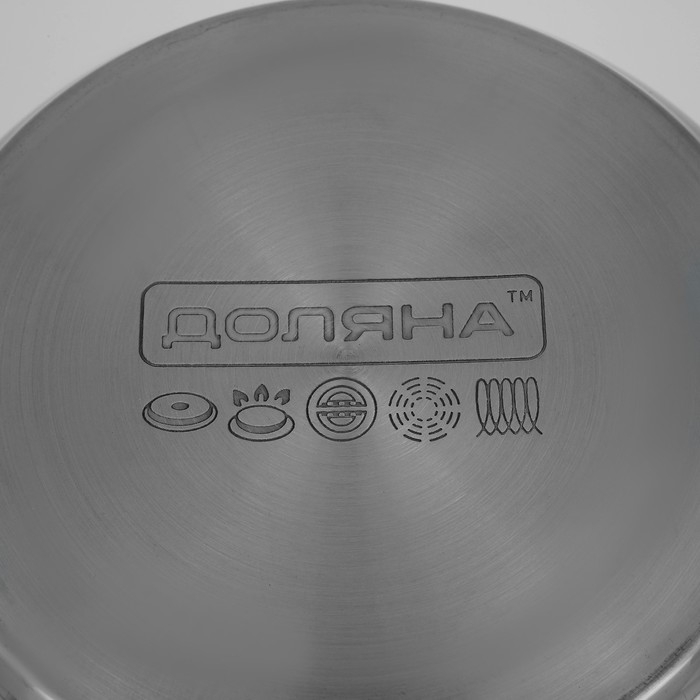 Кастрюля из нержавеющей стали Доляна «Вернер», 3,5 л, d=20 см, с крышкой, индукция Кастрюля из нержавеющей стали Доляна «Вернер», 3,5 л, d=20 см, с крышкой, индукция