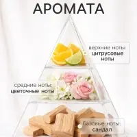 Диффузор ароматический с палочками XO The Harmony, 200 мл