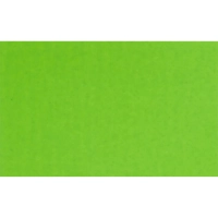 Этикет-лента 26х16 зел прям 1000шт/рул 10рул/уп