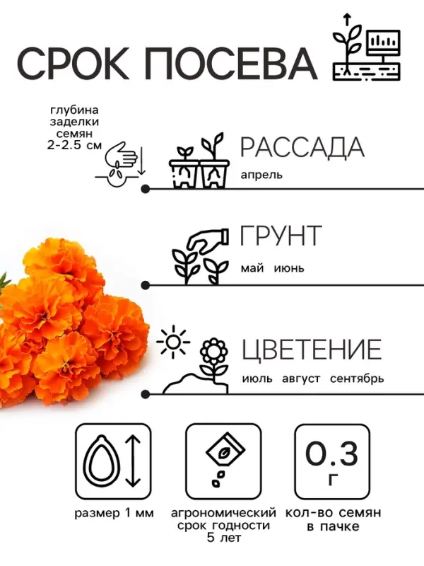 Семена цветов Бархатцы отклонённые  Семена цветов Бархатцы отклонённые "Мандарин", махровые, 0,3 г
