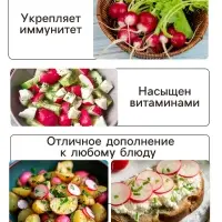 Семена Редис "Розово-красный с белым кончиком", 2 г