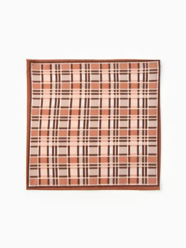 Платки носовые мужские Этель 30*30 см,(набор 12 шт,) цв. коричневый, рис. МИКС, 100% хл