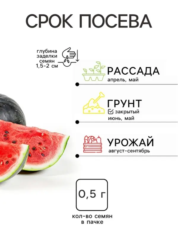 Семена Арбуз &laquo;Малиновый сладкий&raquo;, 0.5 г, среднеранний &laquo;Золотая Сотка Алтая&raquo;