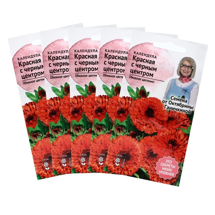 Семена Цветов Календула  Семена Цветов Календула "Красная с чёрным центром",набор 5 шт