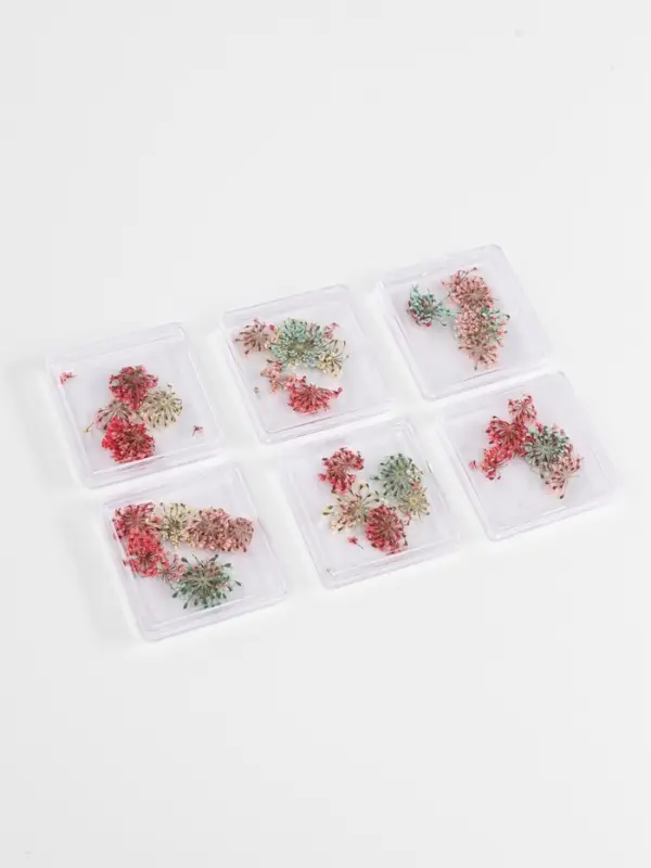Сухоцветы для декора &laquo;Яркость&raquo;, в футляре, МИКС