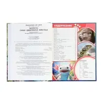 Энциклопедия «Аксолотль. Самые удивительные животные» 405007 Энциклопедия «Аксолотль. Самые удивительные животные» 405007