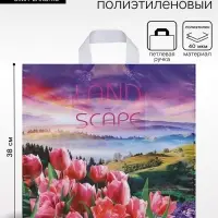 Пакет &laquo;Просторы&raquo;, полиэтиленовый с петлевой ручкой, 38&times;42 см, 40 мкм