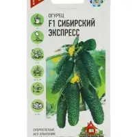 Семена Огурец &laquo;Сибирский экспресс&raquo;, F1, 10 шт., &laquo;Гавриш&raquo;