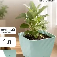 Горшок цветочный с поддоном СибПолимер &laquo;Классика&raquo;, 1 л, пластиковый, мятный