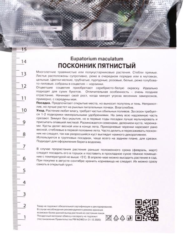 Посконник "пятнистый Беби Джо", 1 шт, р-р I, Весна 2025