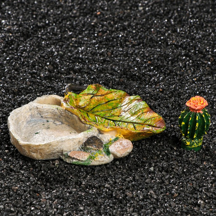 Кормушка для террариума, 14,5 х 13 х 7 см Кормушка для террариума, 14,5 х 13 х 7 см