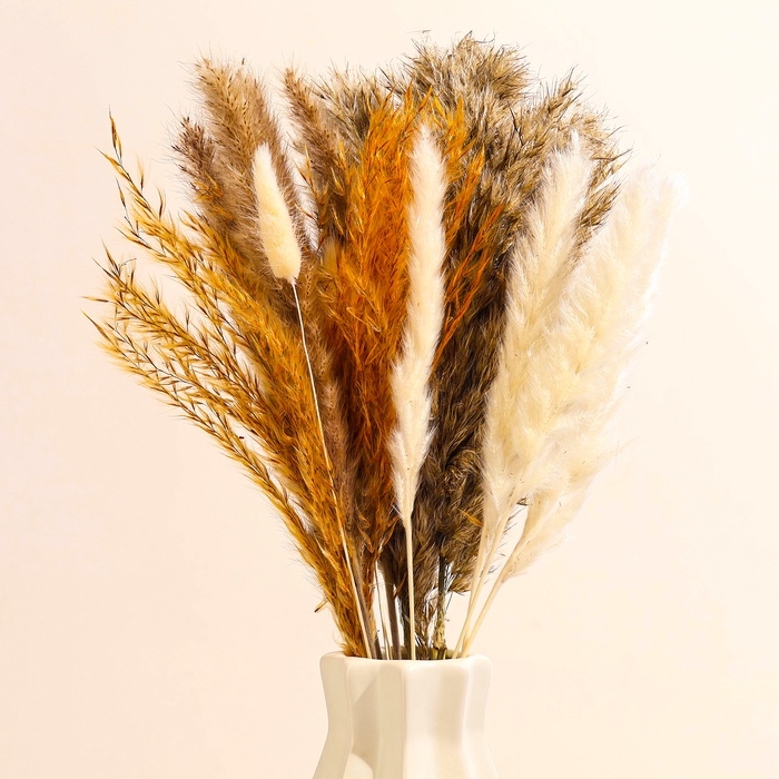 Сухоцветы «Изящность», набор из 5 видов, 48 × 16 × 6 см Сухоцветы «Изящность», набор из 5 видов, 48 × 16 × 6 см