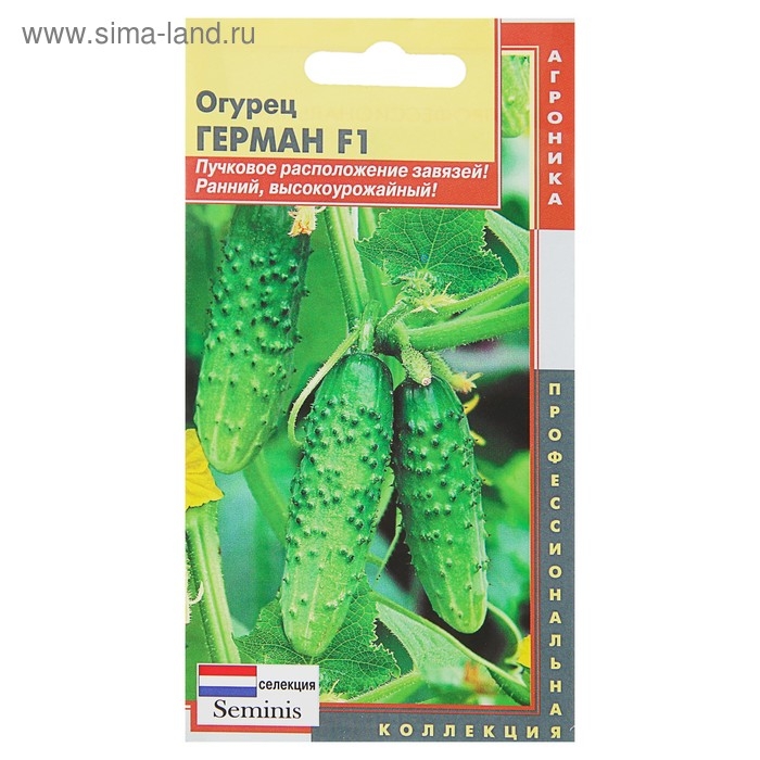 Семена огурца  Семена огурца "Герман", F1, 5 шт.