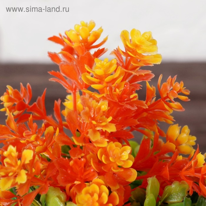 Бонсай в горшке Бонсай в горшке "Азалия" 6х15 см, микс