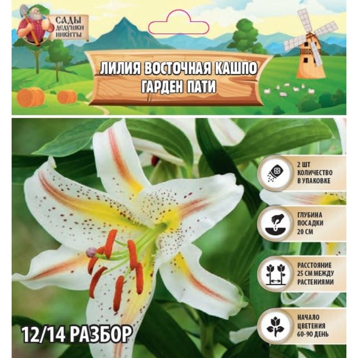 Лилия Восточная Кашпо Лилия Восточная Кашпо "Garden Party", р-р 12/14, 2 шт,