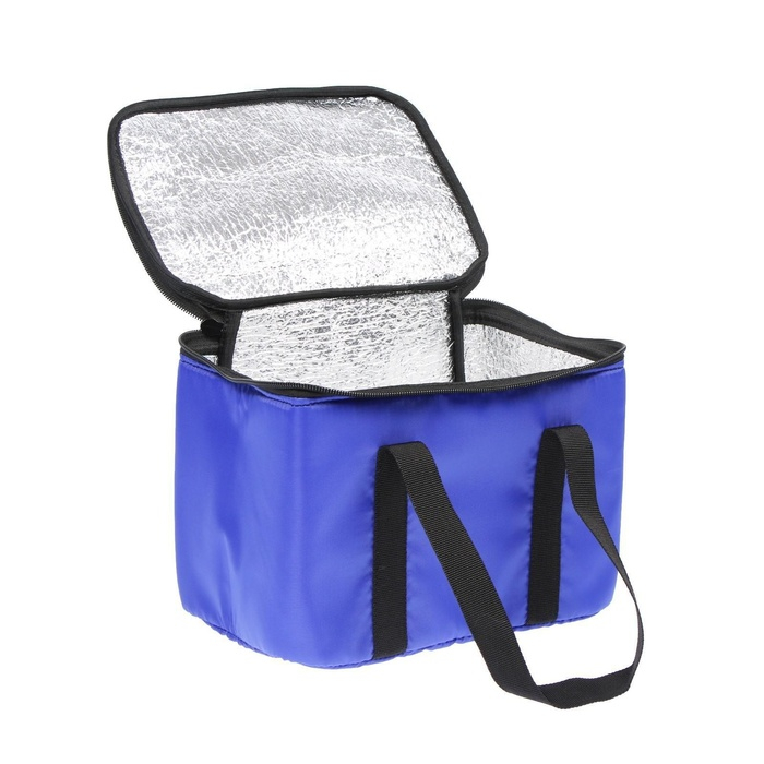 Термосумка Cartage Т-12, синяя, 18 л, 35х21х24 см Термосумка Cartage Т-12, синяя, 18 л, 35х21х24 см