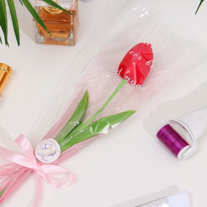 Мыльный тюльпан, красный Мыльный тюльпан, красный