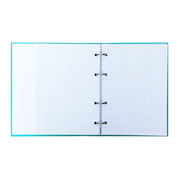 Тетрадь на кольцах А5 160 листов в клетку Тетрадь на кольцах А5 160 листов в клетку "Gussi", твёрдая обложка, глянцевая ламинация