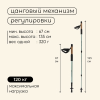 Палки для скандинавской ходьбы maclay Alu 100, телескопические, 2 шт.