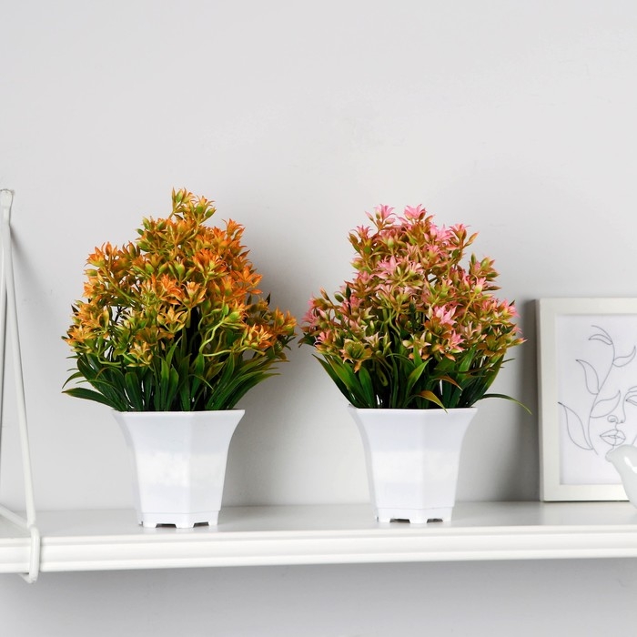 Бонсай в горшке "Очиток" 11х21 см, микс