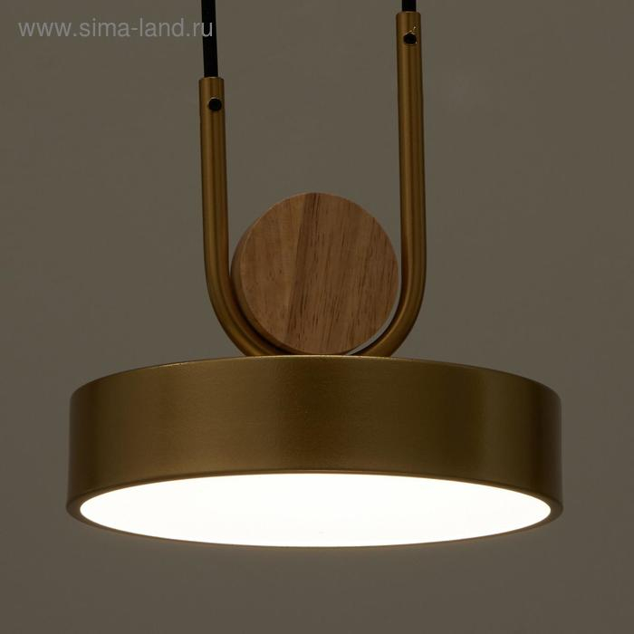 Светильник BayerLux 35425/1 LED 24Вт 3000-6000К золотой 18х18х20 см