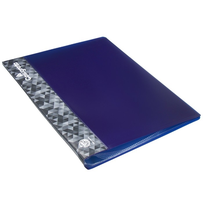 Папка с 10 вкладышами А4, 500 мкм, Calligrata, карман на корешке, черничная Папка с 10 вкладышами А4, 500 мкм, Calligrata, карман на корешке, черничная