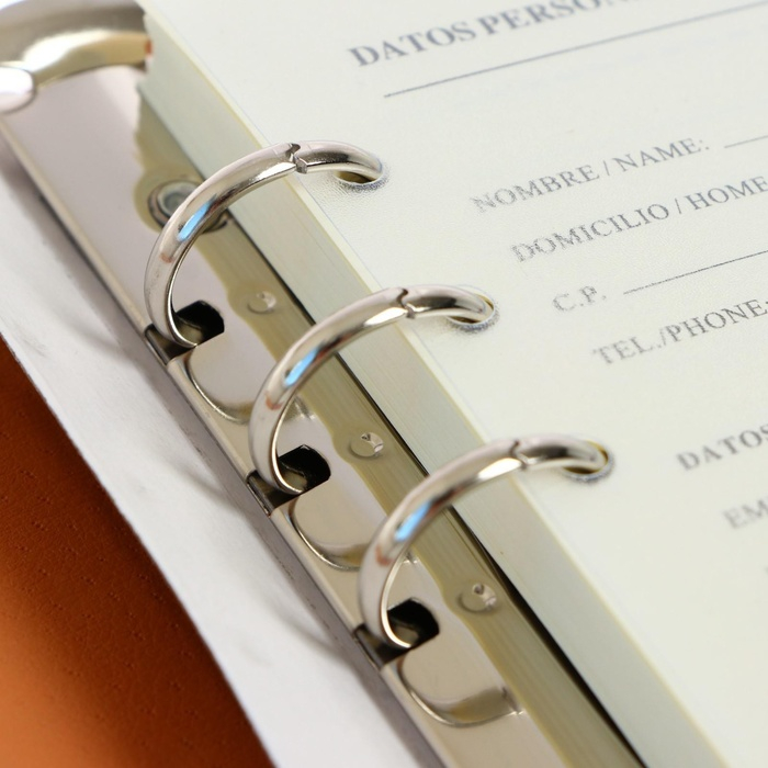 Органайзер на кольцах А5, 90 листов в линейку, с хлястиком, МИКС Органайзер на кольцах А5, 90 листов в линейку, с хлястиком, МИКС