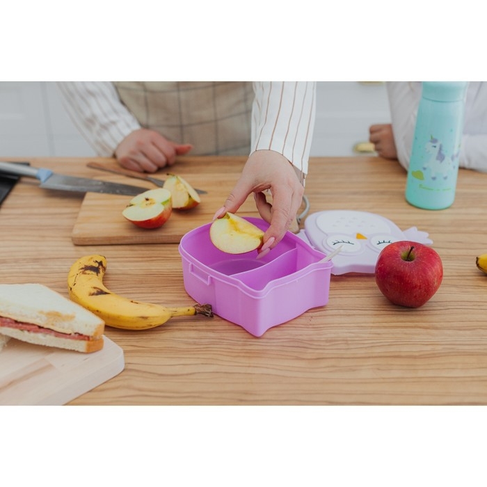 Ланч - бокс пластиковый с ложкой&laquo;Совушка&raquo;, 2 отделения: 300 мл, 450 мл, цвет МИКС