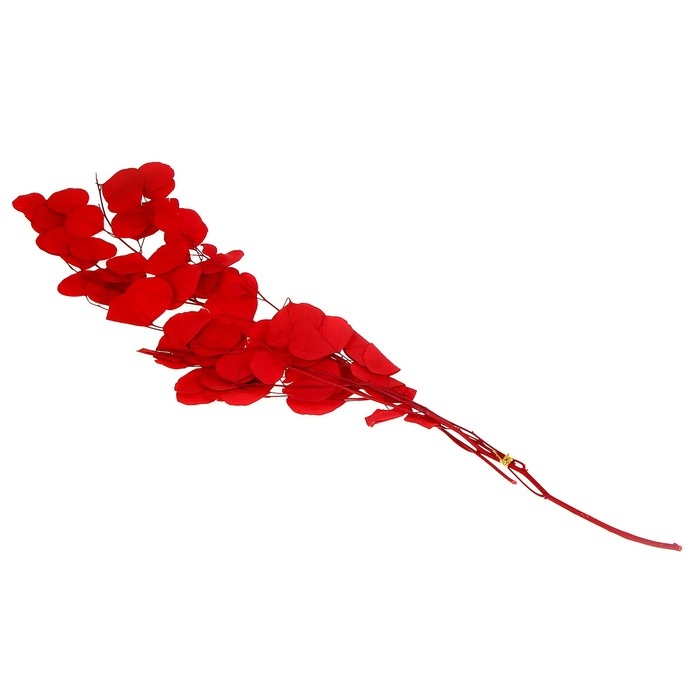 Сухоцвет персикого дерева, 50 г, длина — 70 см, цвет красный Сухоцвет персикого дерева, 50 г, длина — 70 см, цвет красный