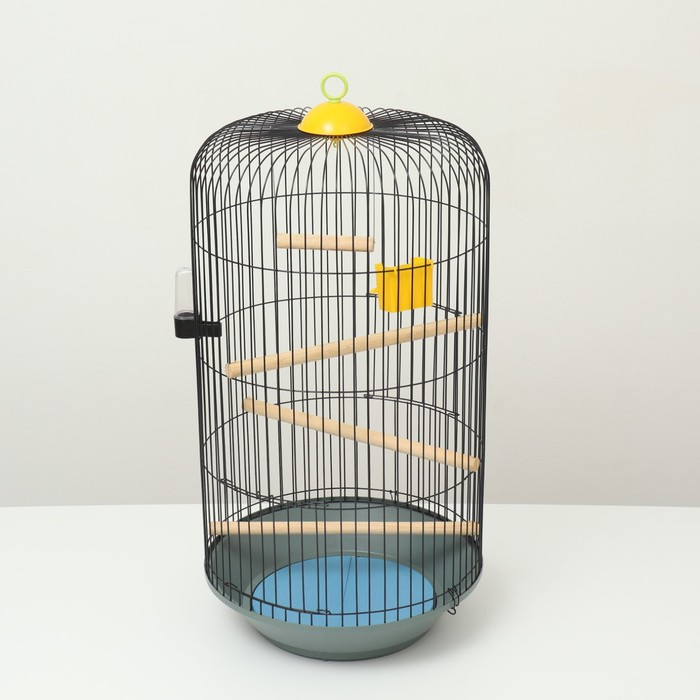 Клетка для корелл круглая «Рио», 40 x 83 см, микс цветов Клетка для корелл круглая «Рио», 40 x 83 см, микс цветов