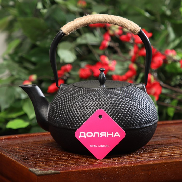 Чайник для плиты чугунный Доляна «Восточная ночь», 1,6 л, с ситом, цвет чёрный Чайник для плиты чугунный Доляна «Восточная ночь», 1,6 л, с ситом, цвет чёрный
