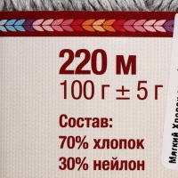 Пряжа "Мягкий хлопок" 70% хлопок, 30% нейлон 220м/100гр (008 серебристый)