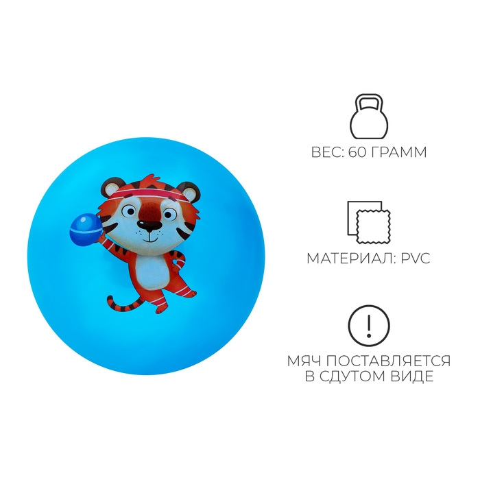 Мяч детский ZABIAKA, d=22 см, цвет МИКС Мяч детский ZABIAKA, d=22 см, цвет МИКС