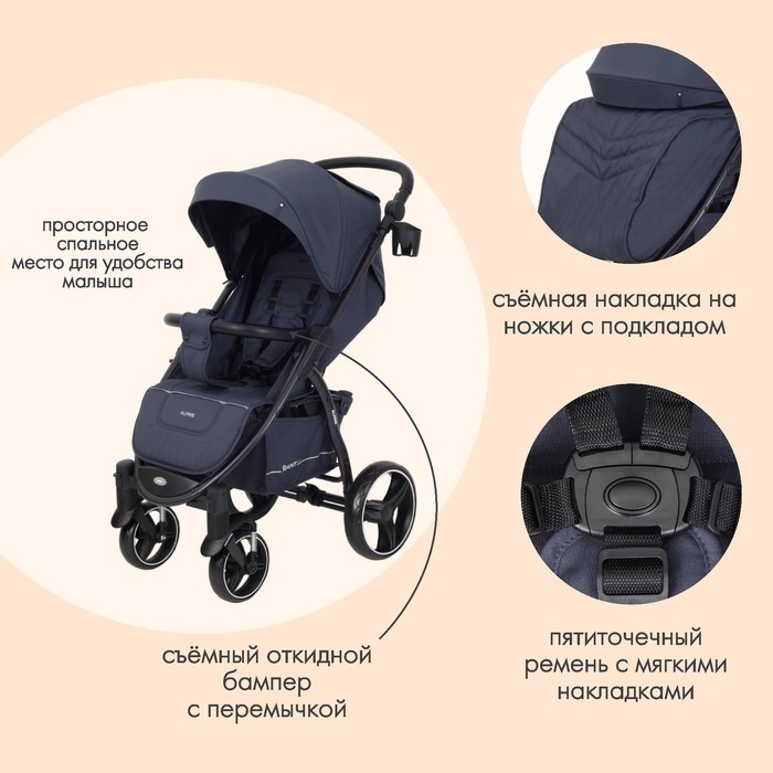 Коляска прогулочная детская Rant Basic Alpine, цвет графит